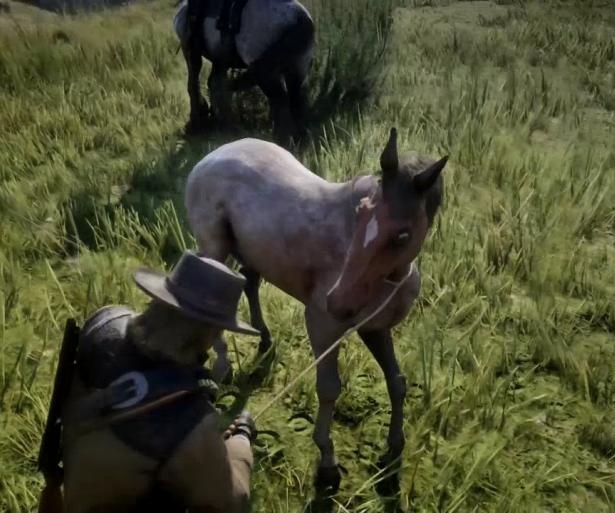 Red Dead Redemption 2 Best Horses