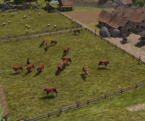 Banished Best Pasture Sizes