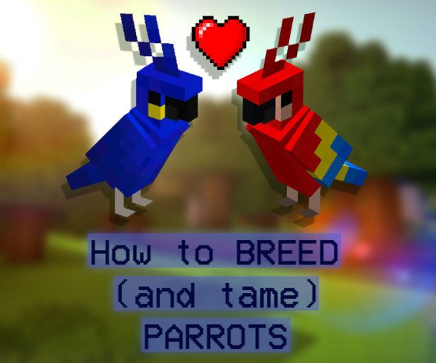 Thumbnail of two Parrots from Minecraft. They are implied to be in love.