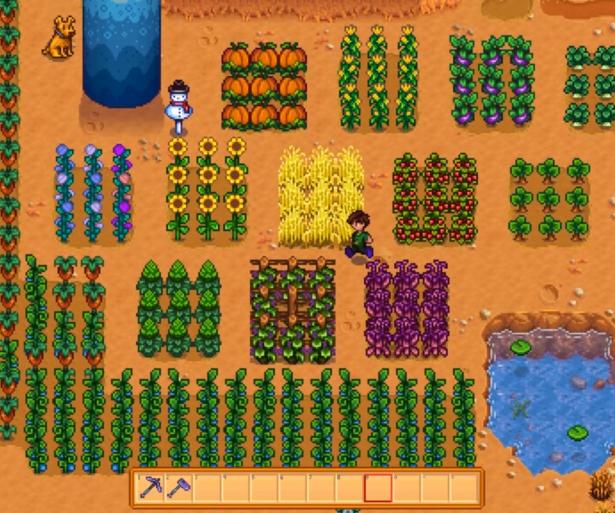 There are plenty of crops to pick between for spring, summer or fall!