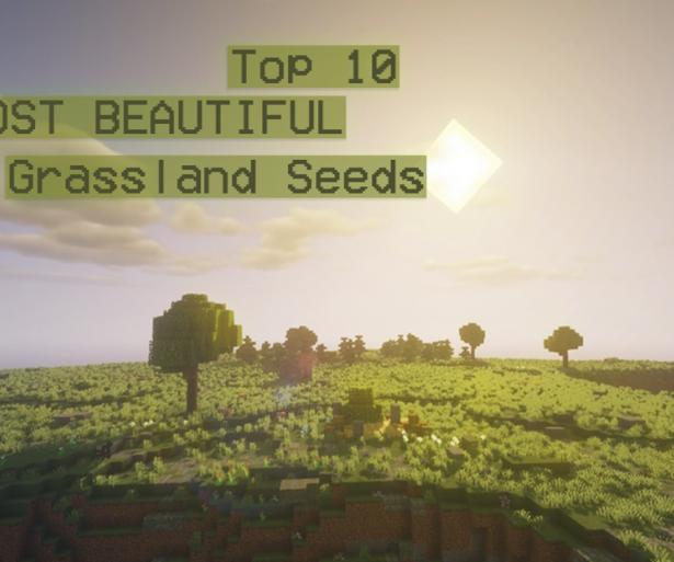 Thumbnail of a plains biome in Minecraft