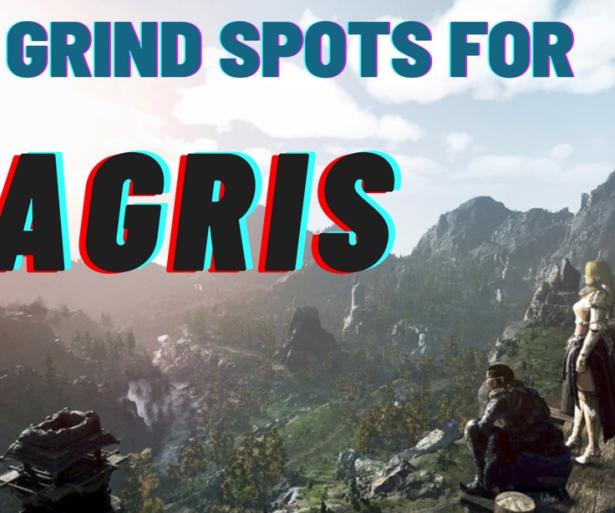 Best Black Desert Online Grind Spots For Agris